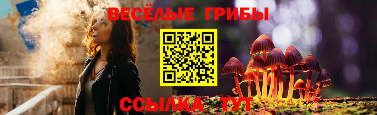 наркота  Галлюциногенные грибы Psilocybe  Галлюциногенные грибы ЛСД  Вход с VPN  Березники 